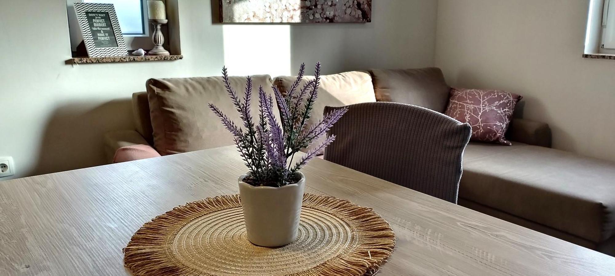 Apartment Morini Zadar Luaran gambar